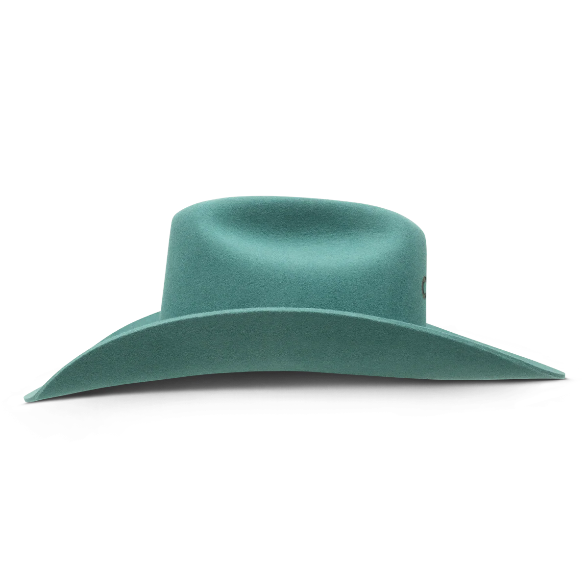 CHARLIE ONE HORSE FELT TURQ