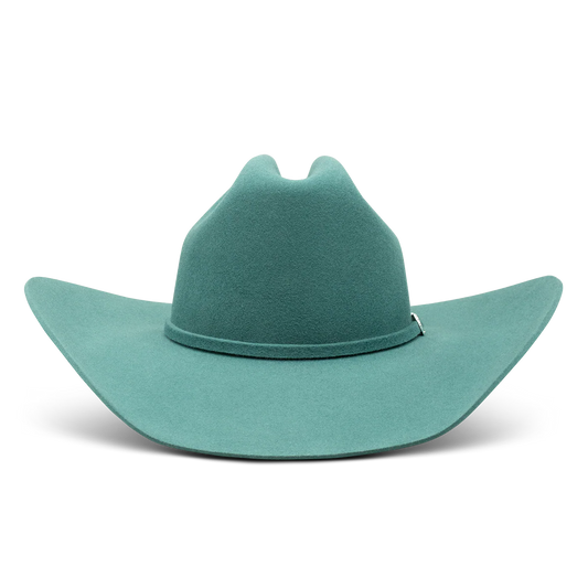 CHARLIE ONE HORSE FELT TURQ