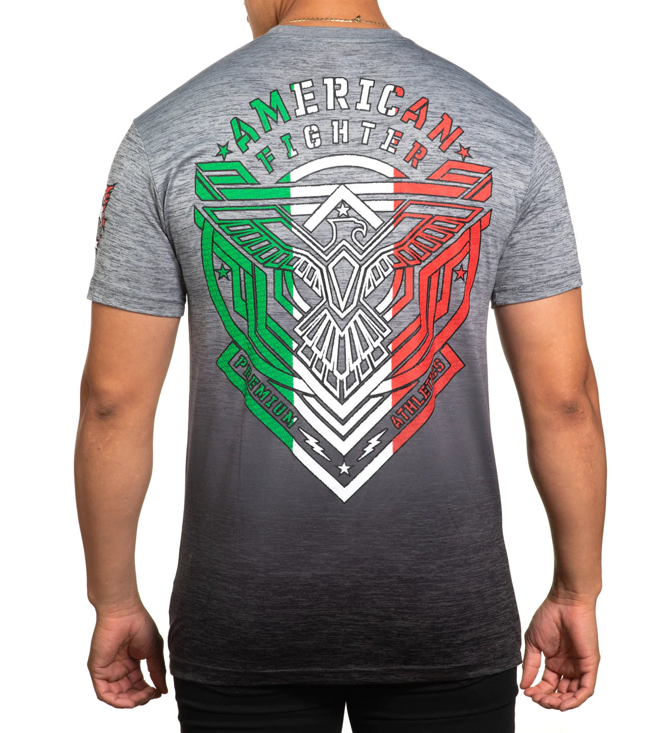 AMERICAN FIGHTER MENS DUSTY TEE