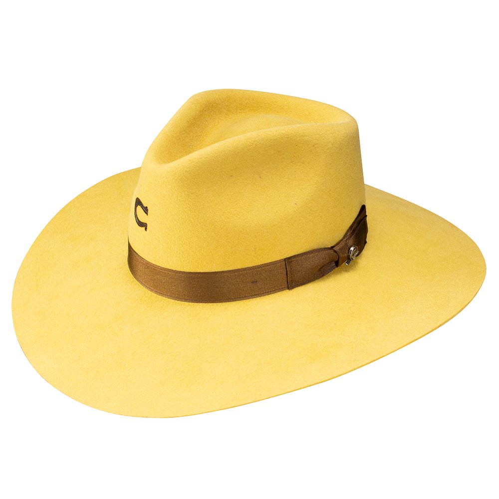 CHARLIE ONE HORSE HIGHWAY YELLOW