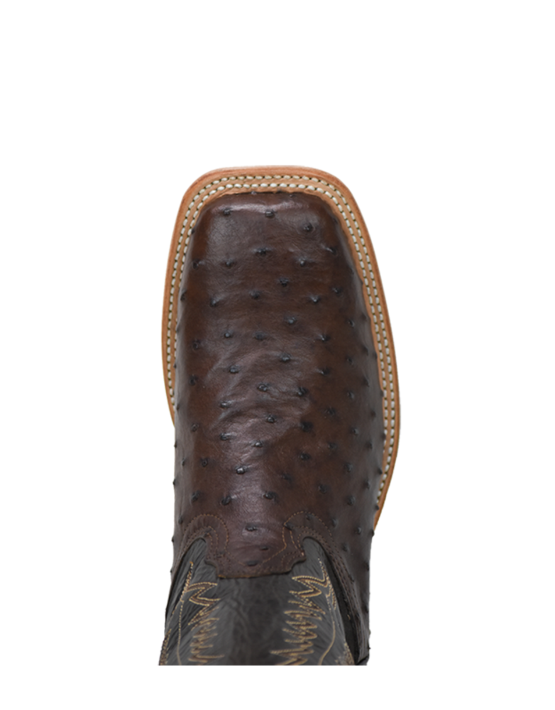 FENOGLIO BOOT CHOC FQ OSTRICH