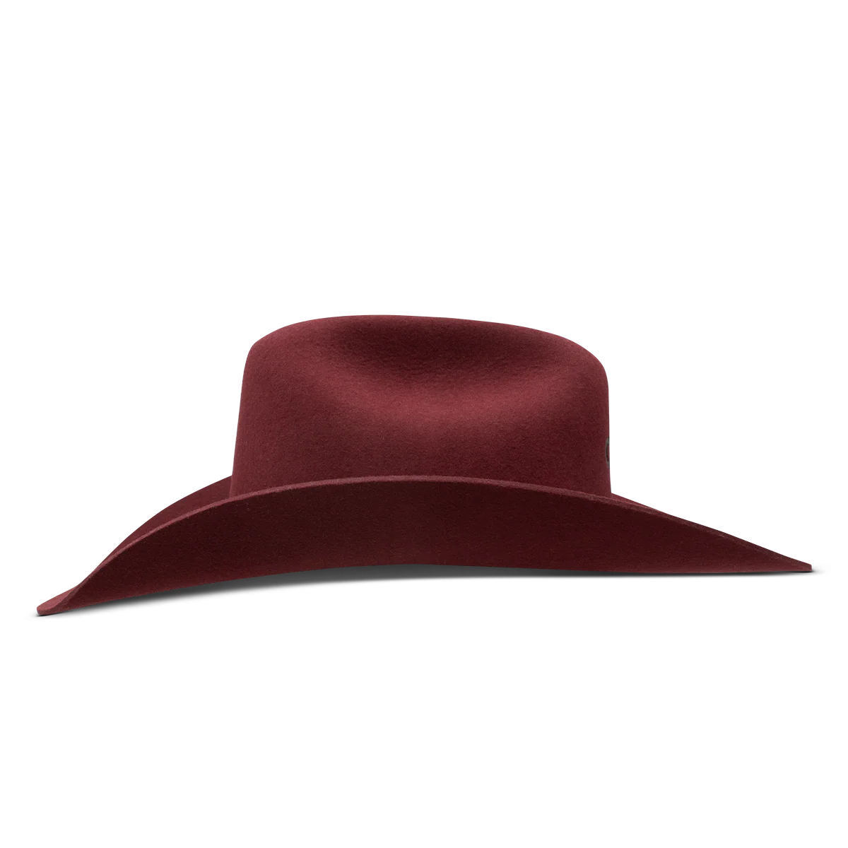 CHARLIE 1 HORSE FELT CRAN